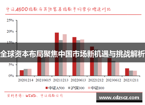 全球资本布局聚焦中国市场新机遇与挑战解析